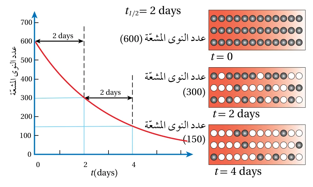 الشكل (8): تناقص عدد النوى المشعّة مع الزمن.