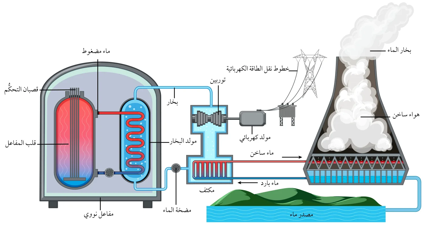 الشكل (12): رسم تخطيطي لمحطّة طاقة نوويّة تستخدم مفاعل الماء المضغوط.