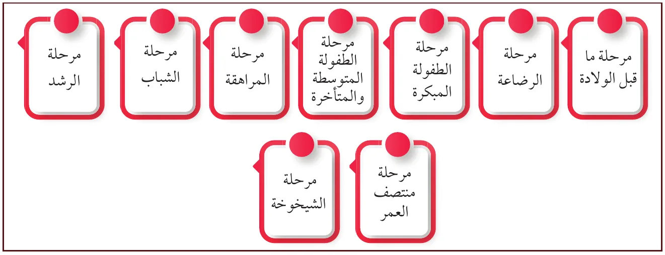 مراحل نمو الإنسان