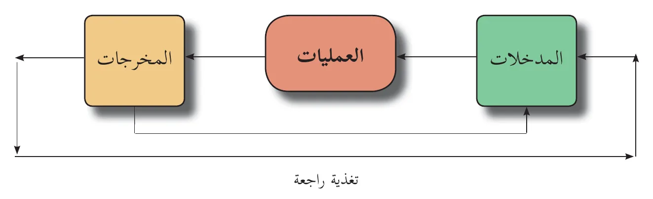 شكل (١ - ١) المشروع الاستثماريّ كنظام