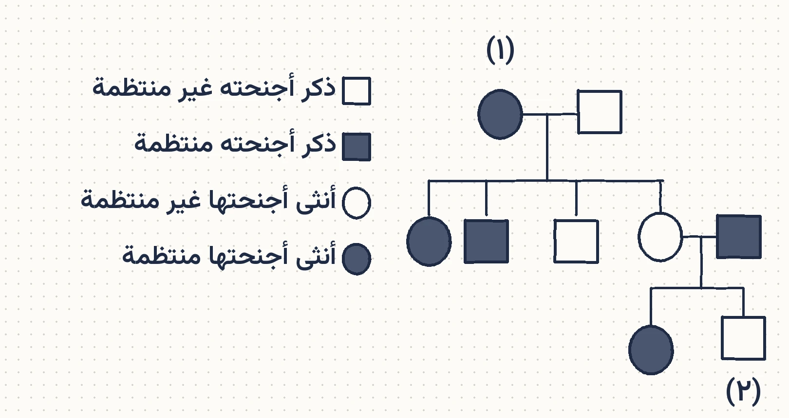 شكل السؤال ٥