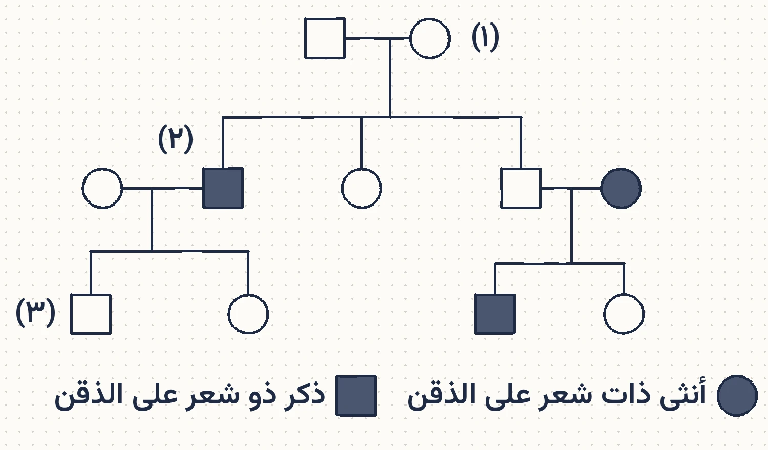 شكل السؤال ٤