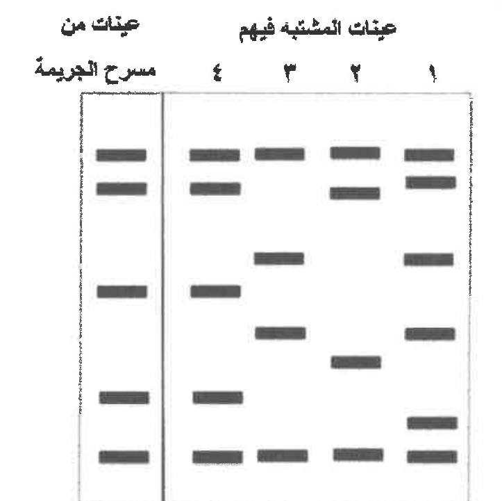 شكل السؤال ٢٣