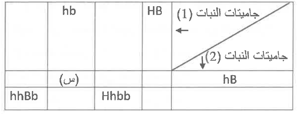 شكل السؤال ٣٠
