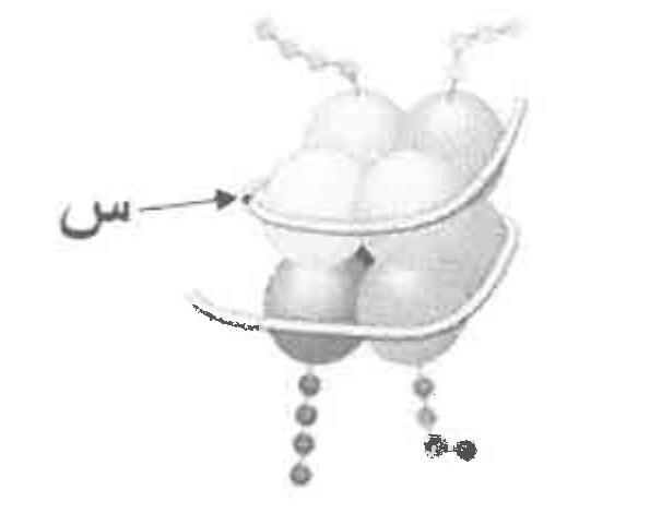 شكل السؤال ٣٥