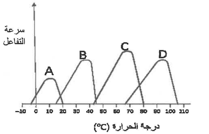 شكل السؤال ٧