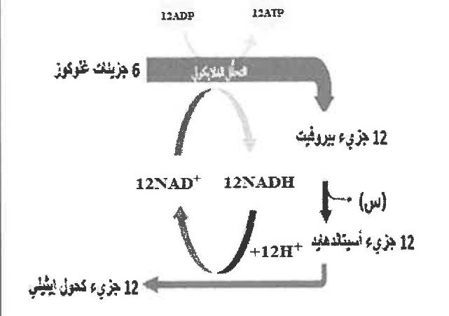 شكل السؤال ١٣