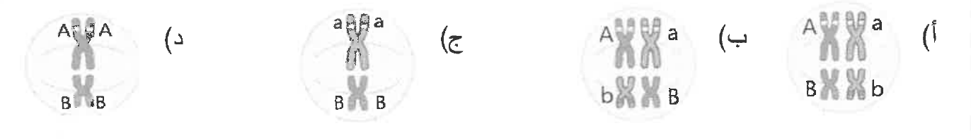 شكل السؤال ٢٦