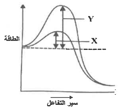 شكل السؤال ٨