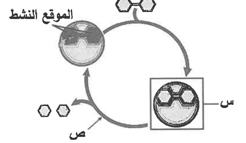 شكل السؤال ٧