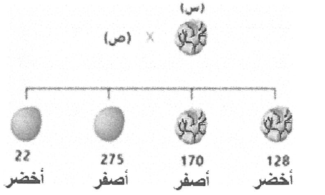 شكل السؤال ٢٨