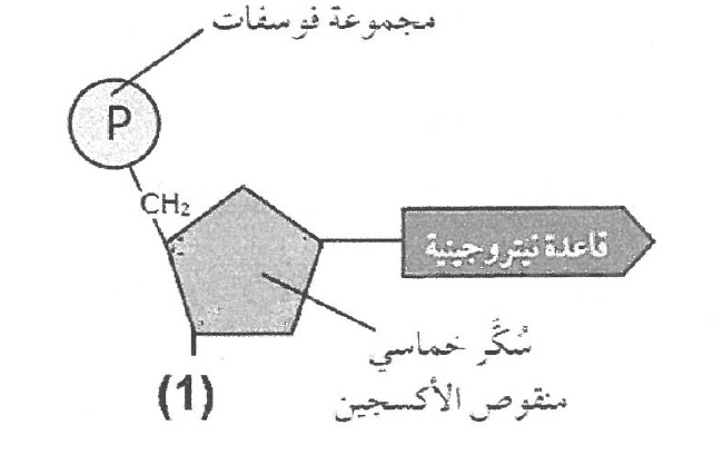 شكل السؤال ٦