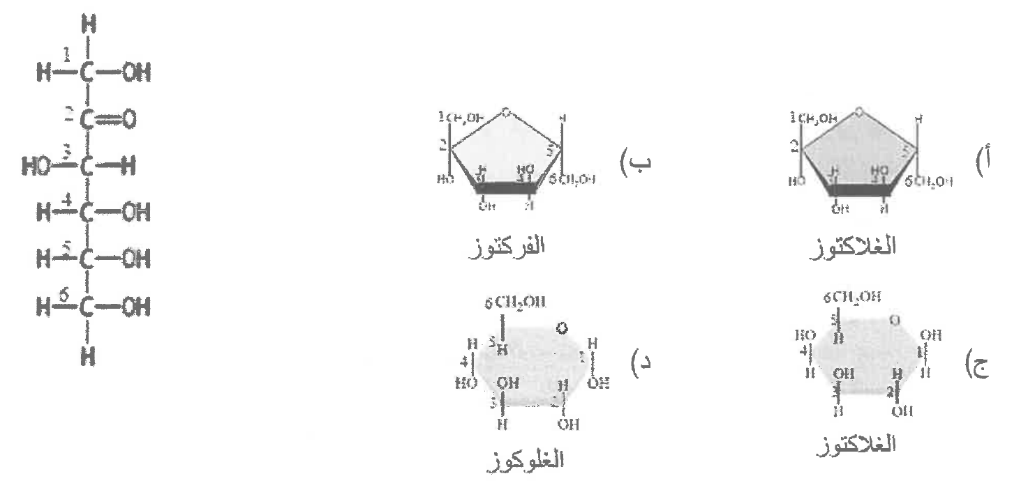 شكل السؤال ١