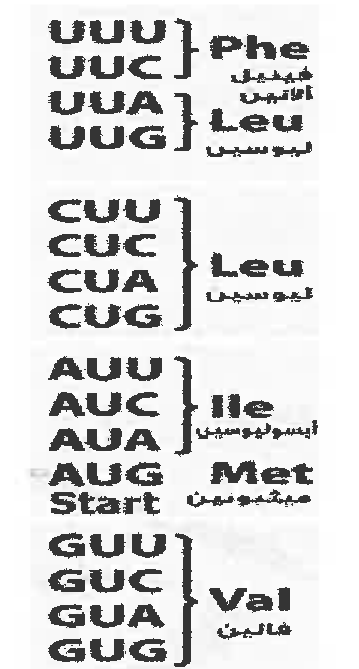 شكل السؤال ٢٤