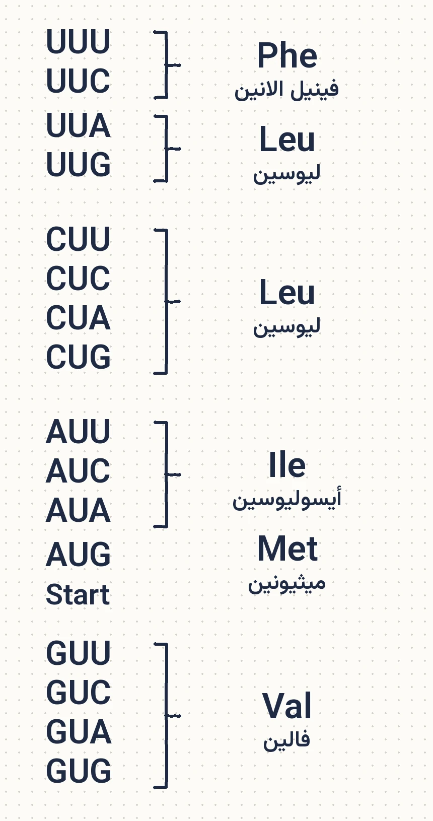 2025، الدورة العامة، السؤال 21