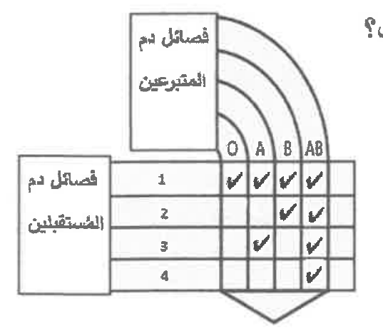 شكل السؤال ٤