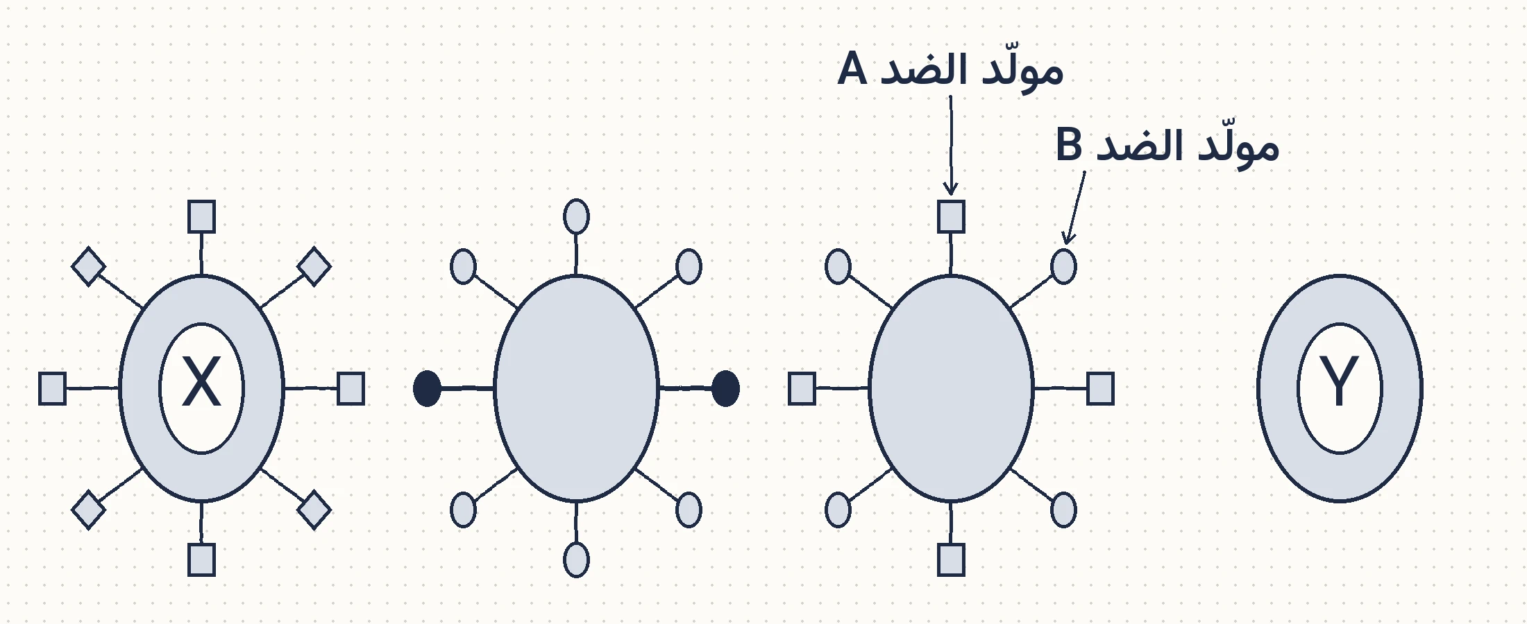 شكل السؤال ٤