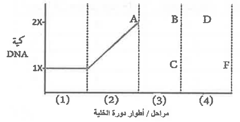 شكل السؤال ١٦