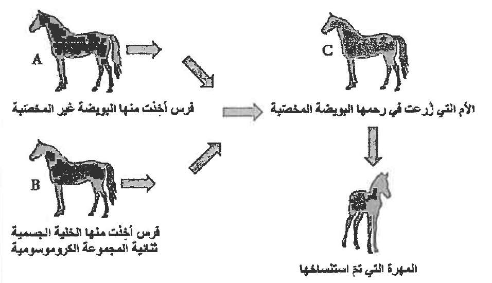 شكل السؤال ٤٤
