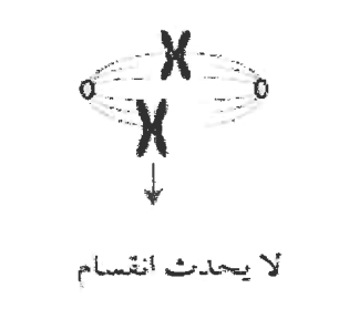 شكل السؤال ١٠