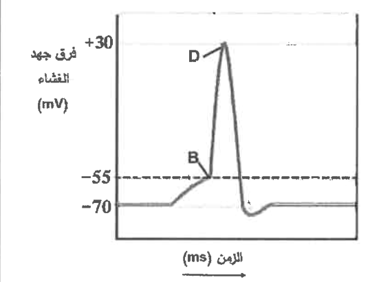 شكل السؤال ٢٩