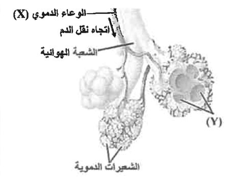 شكل السؤال ٣٦