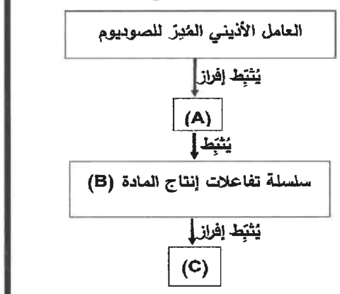 شكل السؤال ٤٦