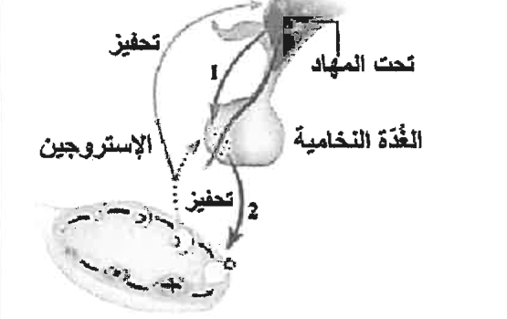 شكل السؤال ٤٨