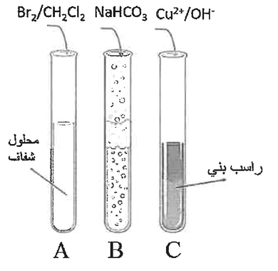 شكل السؤال ٤٨