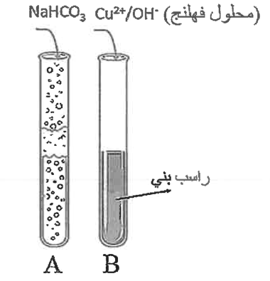 شكل السؤال ٤٩
