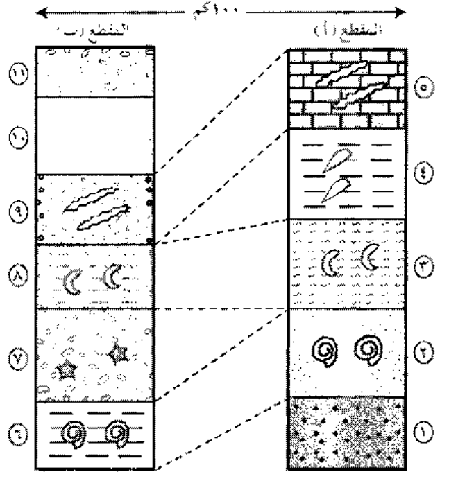 شكل السؤال ١٣