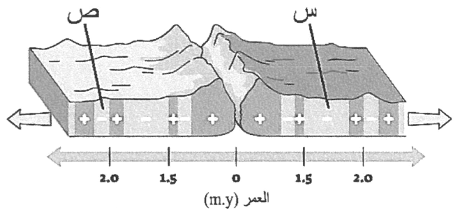 شكل السؤال ٢١