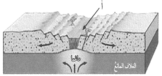 شكل السؤال ٢٣