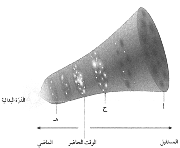شكل السؤال ٣١
