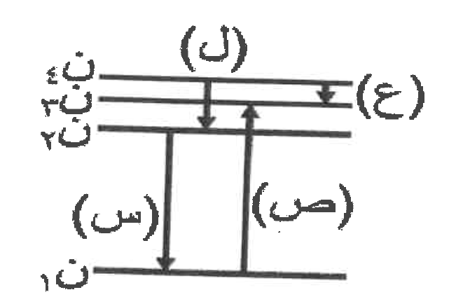 شكل السؤال ٤١