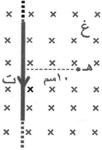 شكل السؤال ٣١