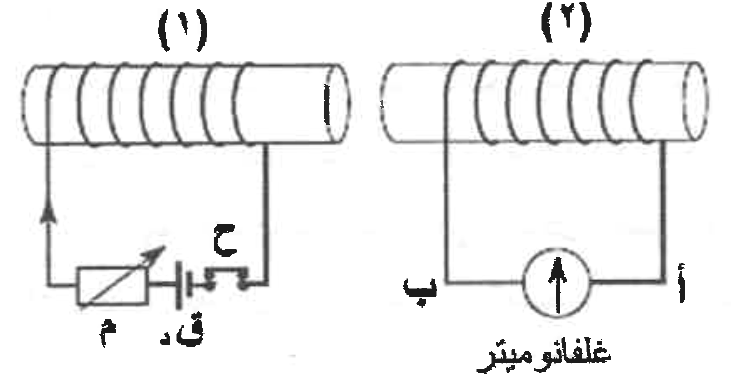 شكل السؤال ٣٦