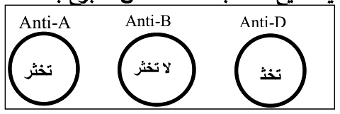 شكل السؤال ٨