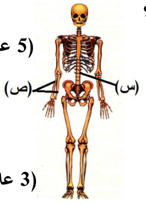 شكل السؤال ٣