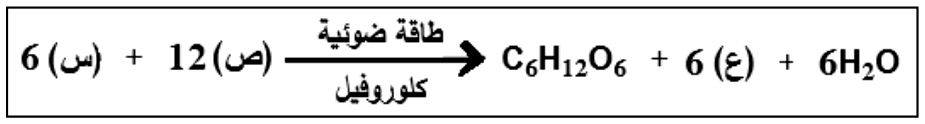 شكل السؤال ١