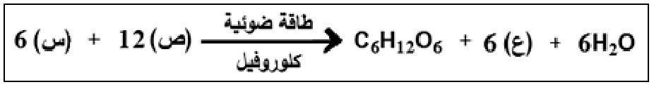 شكل السؤال ١