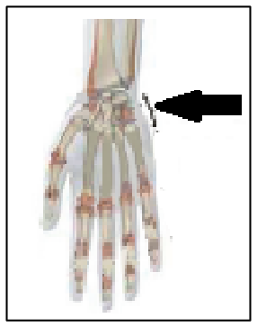 شكل السؤال ٨