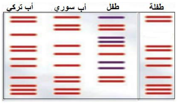شكل السؤال ٩