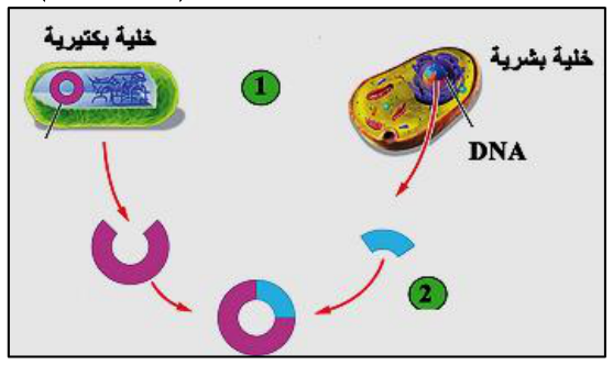 شكل السؤال ٤