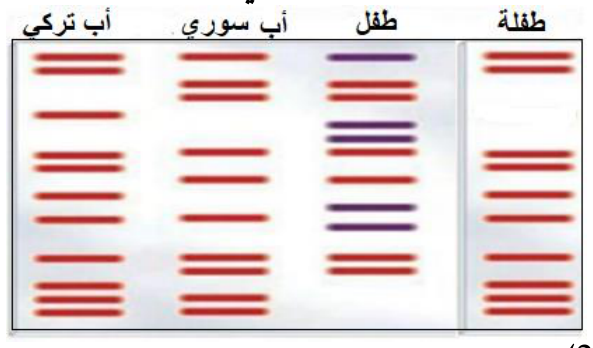 شكل السؤال ٩