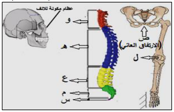 شكل السؤال ٣