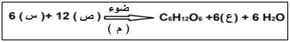 شكل السؤال ٣