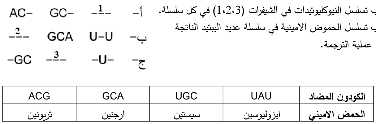 شكل السؤال ١