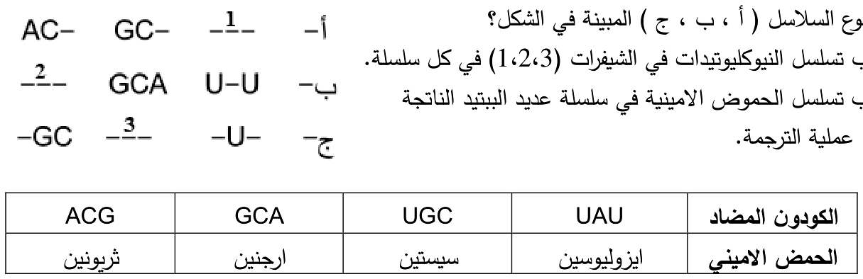 شكل السؤال ١