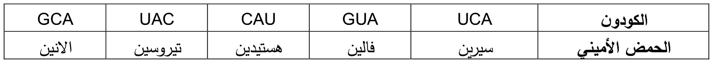 شكل السؤال ١